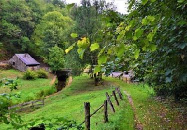 Percorso Marcia Bièvre - Marche Adeps de Oizy 20 km - Photo