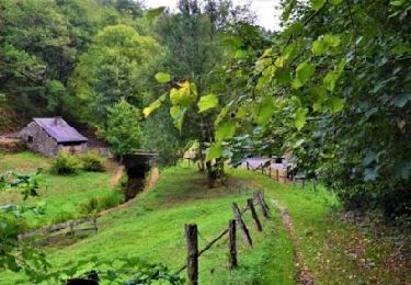 Excursión Senderismo Bièvre - Marche Adeps de Oizy 20 km - Photo