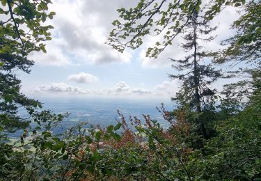 Trail Walking Rüttenen - Weissenstein - Photo