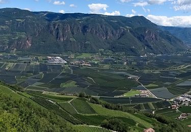 Tocht Te voet Eppan an der Weinstraße - Appiano sulla Strada del Vino - IT-2 - Photo