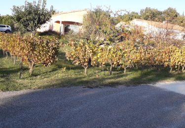 Tocht Stappen Montjoyer - le rangeais  - Photo