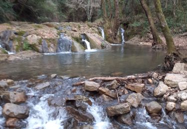 Tour Wandern Méounes-lès-Montrieux - Montrieux le jeune - Photo