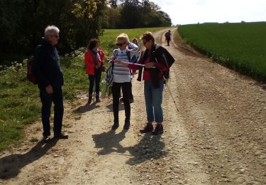 Randonnée Marche Longeville-en-Barrois - beauregard - Photo