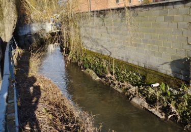 Randonnée Marche Écaussinnes - Ecaussinnes et le Bois de la Houssiere - Photo