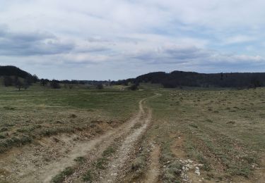 Trail Walking Valserhône - Cuvéry Grange à Charpy - Photo