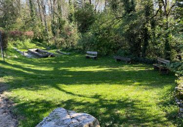 Tocht Stappen Marigny - Le tour lac Chalain  - Photo