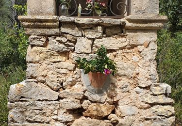 Percorso Marcia La Valette-du-Var - Le coudon par baudouvin - Photo