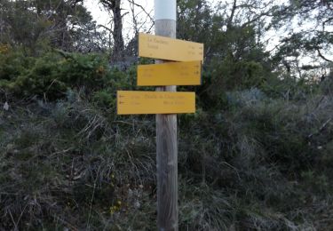 Trail Walking Grane - Bois de Lagier- Loriol- Petit tour du Serre Avolas - Photo