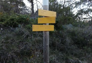 Tour Wandern Grane - Bois de Lagier- Loriol- Petit tour du Serre Avolas - Photo