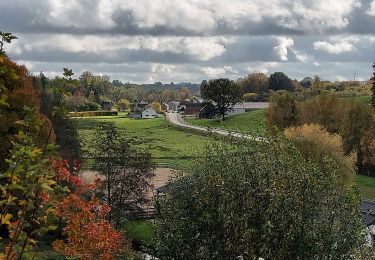 Randonnée Marche Hamois - Achet 261021 - Photo