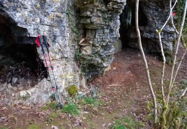 Trail Walking Rully - G2 Rully janvier 22 - Photo