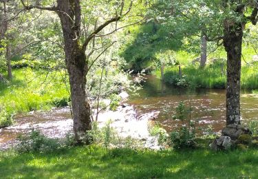 Trail Walking Termes - Termes Aumont aubrac - Photo