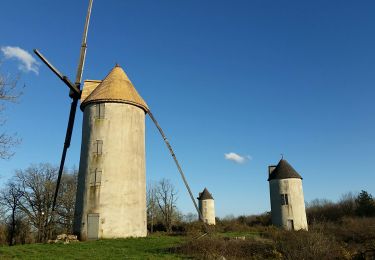 Randonnée Marche Mouilleron-Saint-Germain - Les moulins de Mouilleron  - Photo