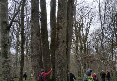 Tour Wandern Vauchassis - Mars172022 - Photo