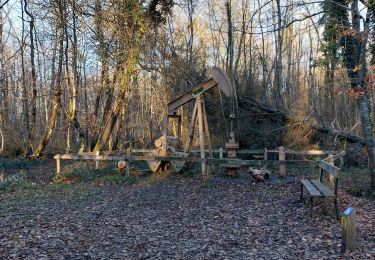 Trail Walking Fontainebleau - Épine foreuse  - Photo