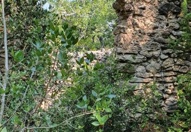 Tocht Stappen Tourves - Tourves Le saut du Cabri - Photo