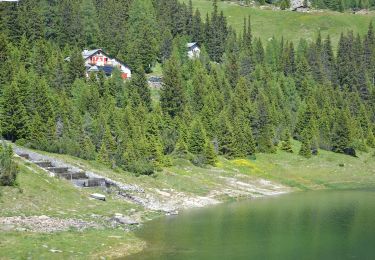 Tour Zu Fuß Chiesa in Valmalenco - (SI D24N) Rifugio Longoni - Rifugio Palù - Photo