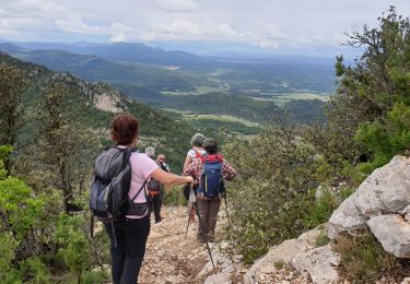 Trail Walking Brignoles - Le Candelon - Photo