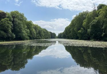 Tour Wandern Enghien - Enghien 13,7 km - Photo