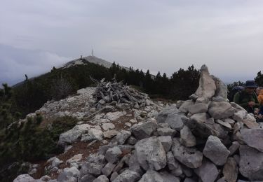 Trail Walking Beaumont-du-Ventoux - Ventoux-Rochers de Cachillan 12km - Photo