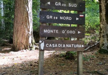 Tour Wandern Vivario - GR20 Corse étape 9 - Photo
