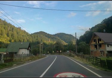 Trail On foot  - Androneasa - Valea Tomoroaga - Poiana Borta - Poiana Belciu - Vârful Sălășel - Photo