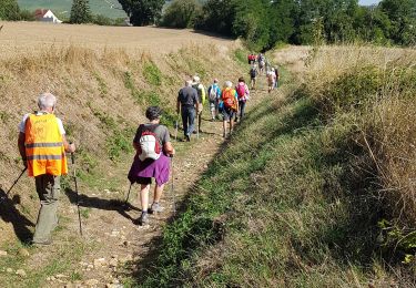 Trail Walking Chézy-sur-Marne - Chezy - Photo