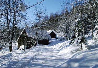 Excursión A pie Francova Lhota - NS Pulčínská cesta - Photo