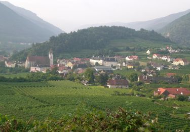 Excursión A pie Gemeinde Weißenkirchen in der Wachau - Welterbesteig Wachau Etappe 3 - Photo