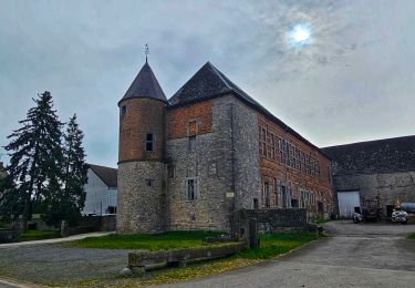 Tocht Stappen Doische - Balade de Doische à Foisches - Photo