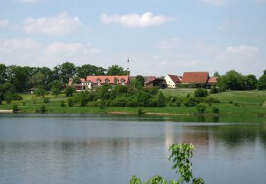 Percorso A piedi Allersberg - Quellen am Rothsee - Photo