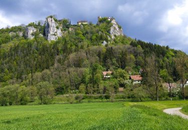 Excursión A pie Gomadingen - Beuron - Petershöhle - Donau - Werenwag - Photo