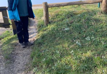 Tocht Stappen Guiry-en-Vexin - Le bois de Berval - Photo