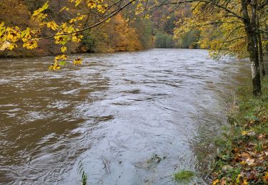 Randonnée Marche Florenville - Les Epioux 311023 - Photo