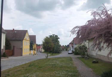 Randonnée A pied Balgstädt - Rundweg Hirschroda - Photo