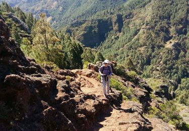 Randonnée Marche San Sebastián de la Gomera - La Gomera - La Zarcita la Laja el Bailadero 7/5/2019  - Photo