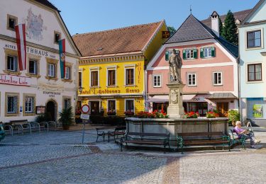 Trail On foot Grein - Greiner Donaublickrunde - Photo