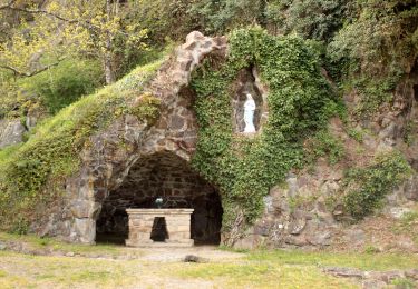 Percorso A piedi Corcoué-sur-Logne - Santiers des Hauts de Saint-Étienne - Photo