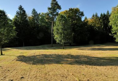 Tour Zu Fuß Michelstadt - Rundwanderweg Römerbad 5 - Photo