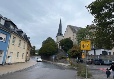 Randonnée Marche Wiltz - 89.401 Wiltz - Circuit Ville Haute - Photo