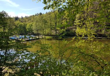 Tour Wandern Zabern - Saverne : rocher Rappenfels - grotte St Vit - château Greifenstein - Photo