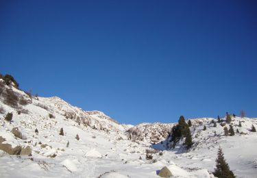 Tour Zu Fuß Pardatsch - IT-E623 - Photo