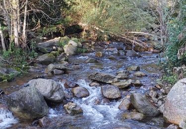 Randonnée Vélo de route Prats-de-Mollo-la-Preste - Prat de Molo la Preste  - Photo