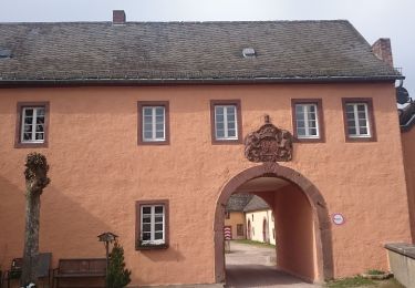 Percorso A piedi Hellenthal - Schmidtheim Rundweg 4 - Photo