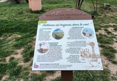 Trail Walking La Garde - Le Plan-la Garde-24-03-23 - Photo
