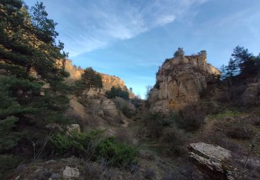 Tocht Stappen Palhers - Prades montagne fendu - Photo