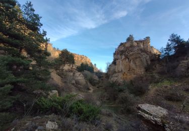 Excursión Senderismo Palhers - Prades montagne fendu - Photo