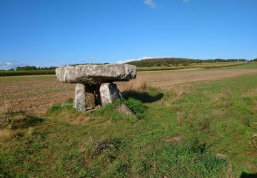 Excursión Senderismo Saint-Nic - Saint Nic - boucle Ménez Hom et Dolmen de Ménez Lié - 11.1km 305m 3h10 - 2019 09 07 - Photo