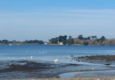 Trail Walking Belz - PR_56_Belz_DA_04_Pointe-De-Kerrio_Circuit4a_20250102 - Photo