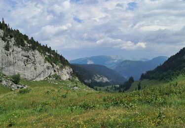 Trail Walking Fillière - GLIERES: GORGE D'ABLON - Photo